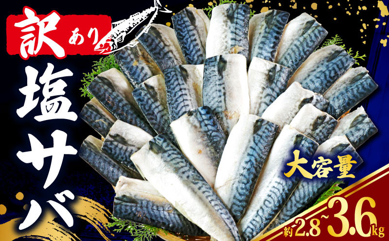 
            訳あり 塩さば フィレ 選べる内容 約2.8kg ~ 約3.6kg 鯖 さば 塩サバ 塩鯖 訳アリ 訳有 規格外 不揃い 切身 切り身 フィーレ 塩焼き 鯖サンド 鯖バーガー 大容量 人気 冷凍 冷凍食品 魚 魚介 魚貝 魚介類 おかず つまみ 酒 お酒 さけ 弁当 惣菜 食品 冷凍食品 グルメ 贈答 贈物 贈り物 ギフト プレゼント ふるさと納税 お取り寄せ 送料無料 千葉県 銚子市 辻野 
          