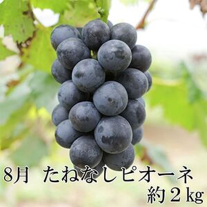 【発送月固定定期便】和歌山の夏の人気フルーツ定期便 全3回【配送不可地域：離島・北海道・沖縄県】【4004345】