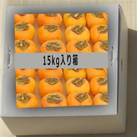 吊るし柿用 生渋柿 ひもセット【 T字軸枝付 or吊しクリップ付】 約50～90果14.5～15kg【1293799】