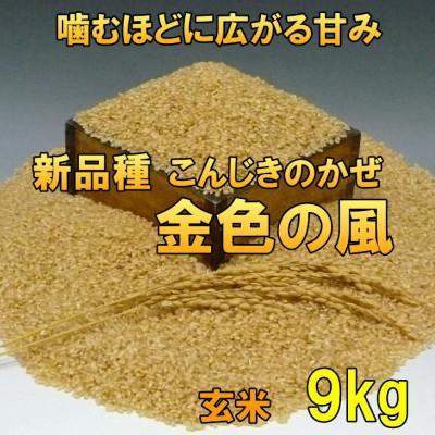 ふるさと納税 奥州市 新米 金色の風(こんじきのかぜ)玄米 9kg 岩手県奥州市 令和7年産玄米 9キロ[AC029]