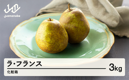 《先行予約》ラ・フランス 化粧箱 3kg 令和8年産 2026年産 山形県産 ラフランス 果物 ns-laxxx3	