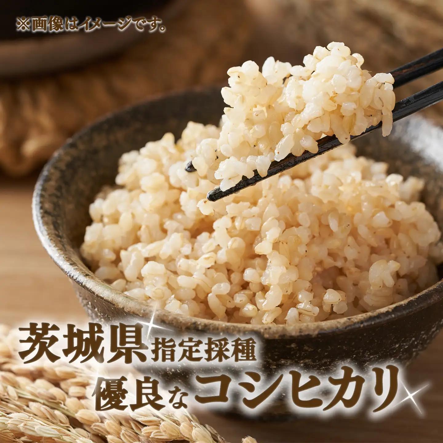 【定期便】令和7年産 市左衛門農場コシヒカリ玄米 5kg×3回 こしひかり