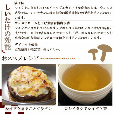 DM6003_最高級 肉厚椎茸 清流椎茸 1kg (200g×5パック)_イメージ4