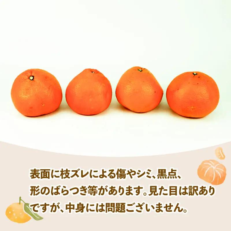 みかん 訳あり 伊予柑 いよかん 約5kg スーパー山田屋 先行予約 果物 くだもの フルーツ 柑橘 mikan 蜜柑 愛媛蜜柑 愛媛みかん わけあり サイズ 不揃い 産地直送 数量限定 国産 愛媛 