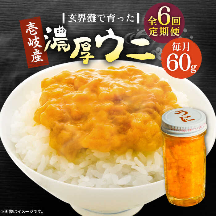 【ふるさと納税】【全6回定期便】壱岐産 濃厚 ウニ60g《壱岐市》【合同会社塚元】ムラサキウニ 海産物 海鮮 ウニ うに 雲丹 珍味[JDR031]