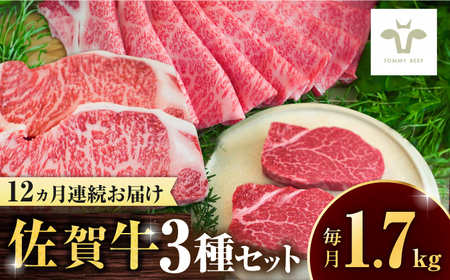 【全12回定期便】佐賀牛 すき焼き用とサーロインステーキとヒレステーキ食べ比べ 計20.4kg / ブランド牛 黒毛和牛 小分け / 佐賀県 / 有限会社佐賀セントラル牧場 [41ASAA277]