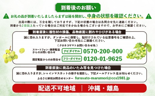 【先行予約】《2026年9月下旬～11月下旬出荷》 宮城県丸森町産 シャインマスカット　3房(1房 600g以上)　