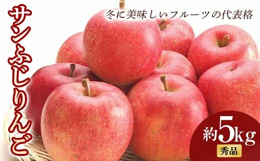 【令和8年産先行予約】 サンふじりんご 約5kg (16～25玉 秀) 《令和8年11月中旬～12月下旬発送》 『フードシステムズ』 林檎 リンゴ 果物 フルーツ デザート 山形県 南陽市 [851-R8]
