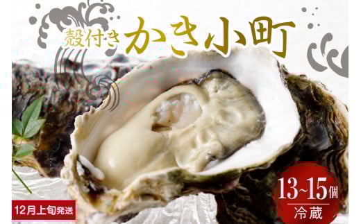 【2025年12月上旬発送】宮原水産 かき小町 殻付き 13～15個 ku005-012-12-1-25