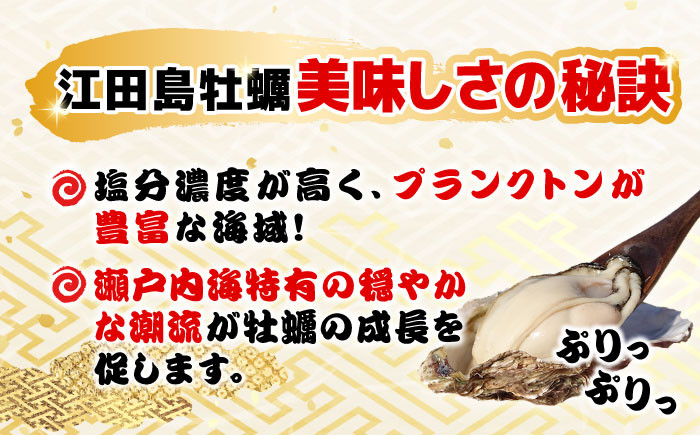 広島牡蠣 冷凍 殻付き カンカン焼き