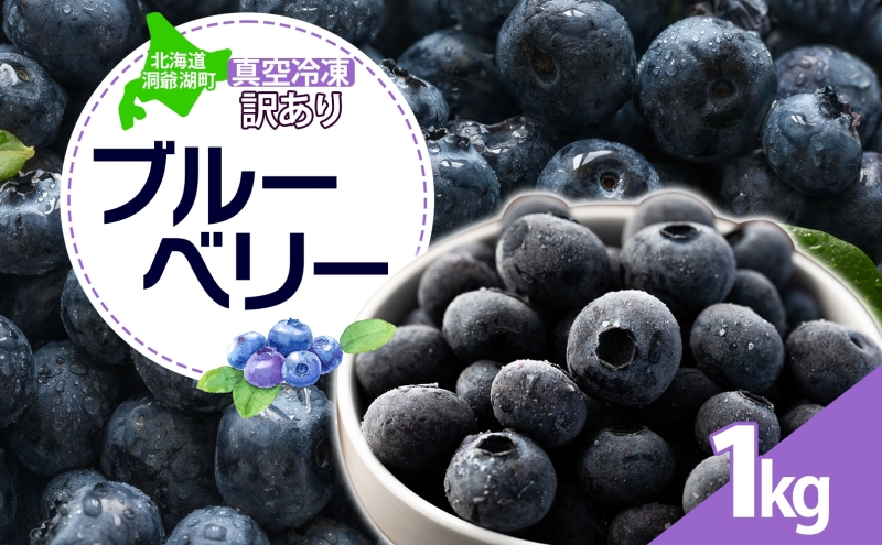 北海道 訳あり ブルーベリー 500g 2袋 計1kg 2025年 7月下旬より順次お届け 果物 果実 フルーツ 新鮮 国産 ベリー 農作物 お取り寄せ グルメ ギフト 冷凍 長期 保存 とうやMarche マルシェ