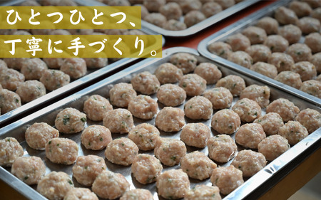 焼鳥屋さんの鶏つくね餃子　10個入り　5パック　［A-084004］