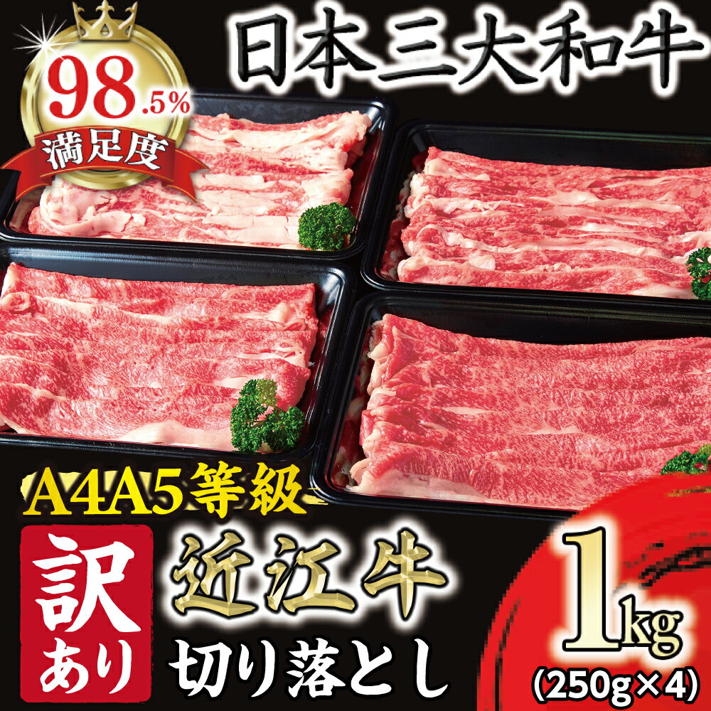 【ふるさと納税】【訳あり】近江牛 切り落とし 1kg（250g×4） A4 A5等級 近江フードJAPAN 国産 牛肉 近江牛 冷凍