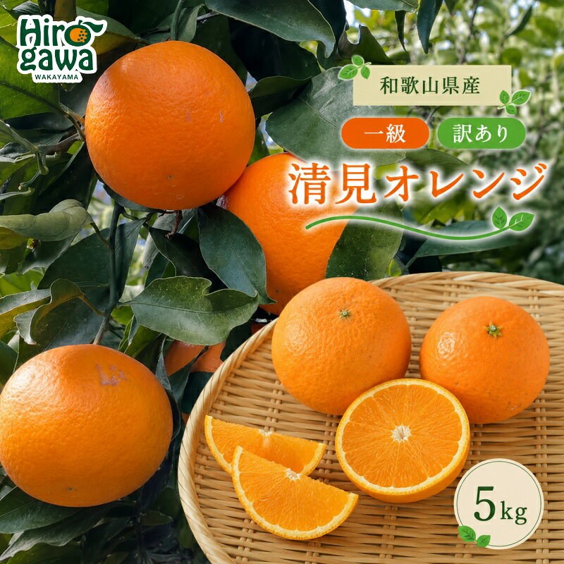 【ふるさと納税】 清見オレンジ 5kg 和歌山 広川町産 ※2027年3月上旬～3月下旬頃に順次発送予定 / 和歌山 有田 広川 みかん 清見 きよみ 柑橘 果物 くだもの ギフト フルーツ 果実