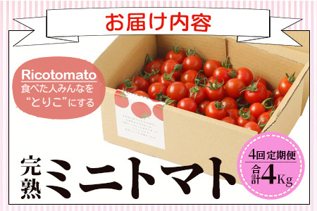 【先行予約】【2026年1月から出荷】【4回定期便】完熟ミニトマト Ricotomato 1kg 合計4kg 月1回 年4回発送 野菜 とまと トマト 佐賀産 佐賀県 鹿島市 送料無料 春 夏 旬 F