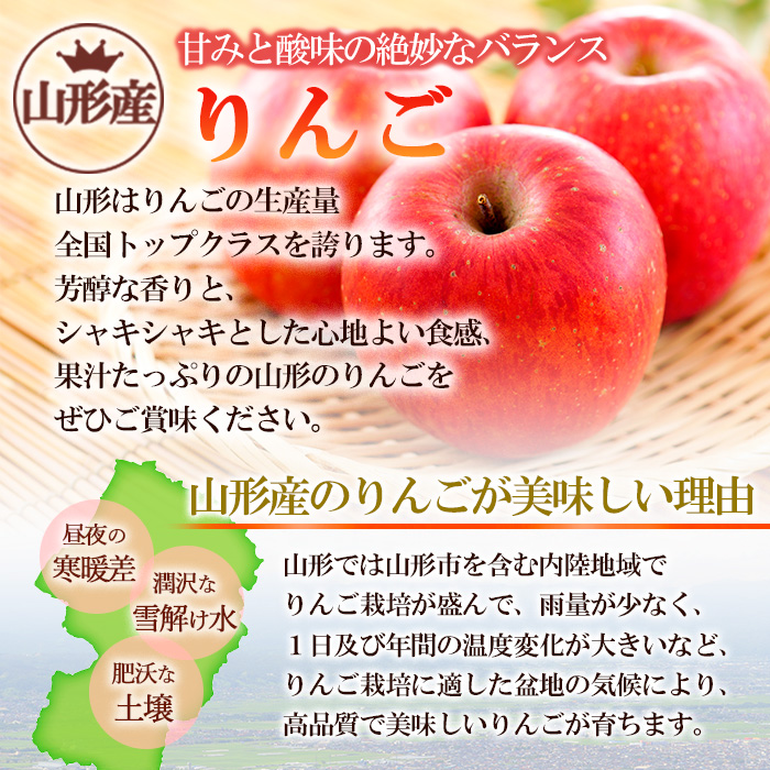 サンふじりんご 無袋 秀品5kg(14玉～20玉) FY25-902