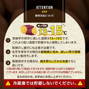 n332 ＜先行予約受付中！2025年10月下旬頃より順次発送予定＞種子島産 安納こがね(10kgセット) 国産 安納芋 黄金本場 種子島 芋 イモ いも さつまいも さつま芋 安納いも 野菜 【なか