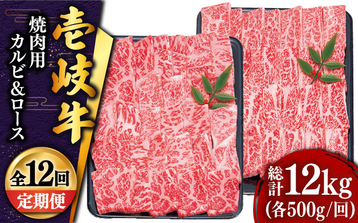 
【全12回定期便 】壱岐牛 焼肉 （ロース・カルビ）各500g 《壱岐市》【土肥増商店】 肉 牛肉 焼き肉 ロース カルビ BBQ 焼き肉 赤身 [JDD017] 600000 600000円 60万円
