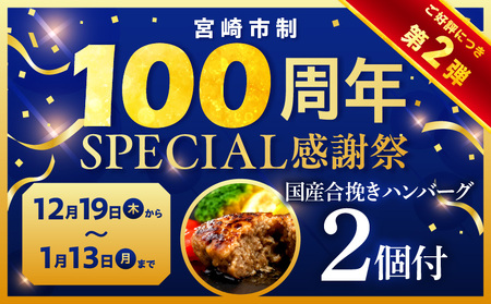 【市制100周年特別規格・期間限定】宮崎県産黒毛和牛ロースステーキ250g×2 合挽きハンバーグ100g×2個 合計700g ミヤチク ステーキ ハンバーグ