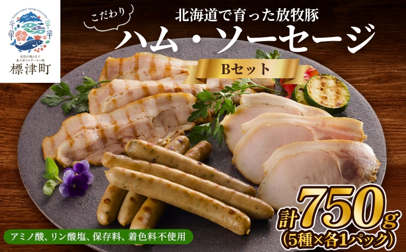 【無添加・無着色】こだわりハム・ソーセージセット 計約750g(5種×各1)　詰め合わせ 人気【配送不可地域：離島】