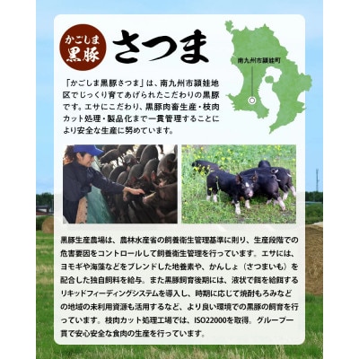 【毎月定期便】「かごしま黒豚さつま」デミグラスハンバーグ10個セット(南九州市)全3回【配送不可地域：離島】