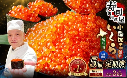 【5回定期便】 いくら醤油漬 約400g（約200g×2パック）×5回 計約2kg いくら醤油漬け いくら イクラ 醤油漬 醤油漬け 冷凍