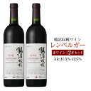 【ふるさと納税】鶴沼収穫ワイン 【レンベルガー】 赤ワイン 2本セット アルコール 11.5％-12.5％ お酒 酒 ワイン 赤 鶴沼ワイン 鶴沼 鶴沼ワイナリー 2本 セット 北海道産 北海道 浦臼町 送料無料