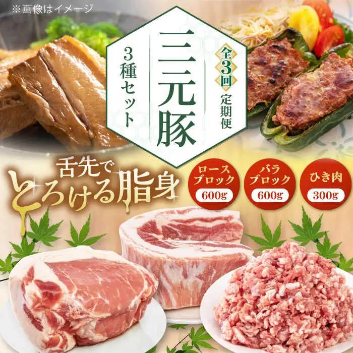 【全3回定期便】 3種 セット 豚肉セット AJAP047