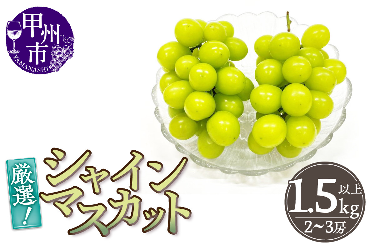 
            厳選！山梨県甲州市産 シャインマスカット 1.5kg以上（2～3房）【2025年発送】（THR）B15-810 【シャインマスカット 葡萄 ぶどう ブドウ 令和7年発送 期間限定 山梨県産 甲州市 フルーツ 果物】
          