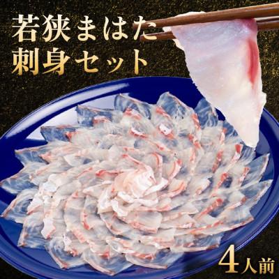 ふるさと納税 小浜市 若狭マハタ刺身4人前