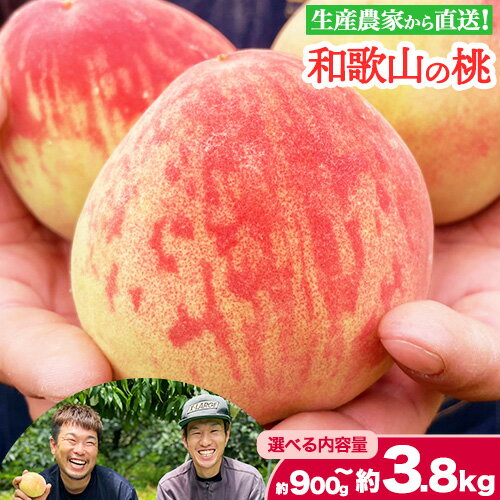 【ふるさと納税】【先行予約】和歌山県産の桃 選べる内容量 約900g (3玉入り) 約1.8kg (5〜8玉入り) 約3.8kg (10〜18玉入り) GREEN JUNCTION株式会社《2026年6月中旬-2026年8月末頃出荷》和歌山県 紀の川市 桃 果物 果実 フルーツ 自然栽培 送料無料