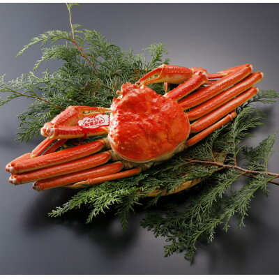 【ふるさと納税】【先行予約】鳥取県産 タグ付き 茹 松葉がに 500g×1杯(中村商店)2026年1月末より順次発送【配送不可地域：離島・北海道・沖縄県・東北・信越、北陸】【1692929】