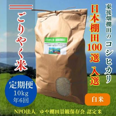 ふるさと納税 長門市 【毎月定期便】こしひかり「ごりやく米」白米10kg(120001)全6回