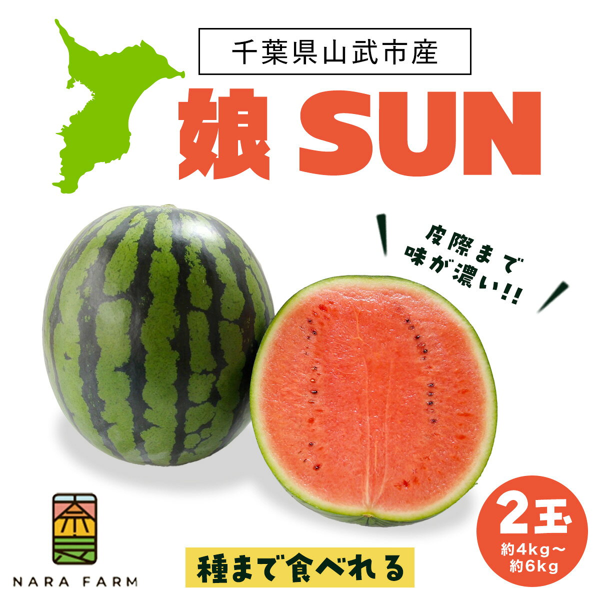 【ふるさと納税】【先行予約・2027年6月下旬頃より発送】ふるさと納税 人気 おすすめ ランキング 娘SUN2玉入り ぷちっと スイカ 西瓜 すいか 果物 フルーツ 国産 産地直送 甘い 野菜 千葉県 千葉県産 山武市 送料無料 SMAF006
