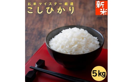 令和7年産 千葉県産コシヒカリ5kg