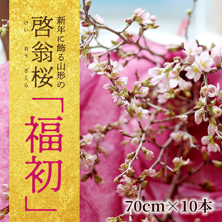 【ふるさと納税】新年に飾る山形の桜 「福染2026」 酒田市の高橋さんの啓翁桜 70cm 10本 2025年12月20日〜12月30日にお届け ※着日指定・離島発送不可 東北 山形県 酒田市 庄内地方 啓翁桜 植物 花 インテリア 室内 玄関 リビング 新年 新春 お正月飾り