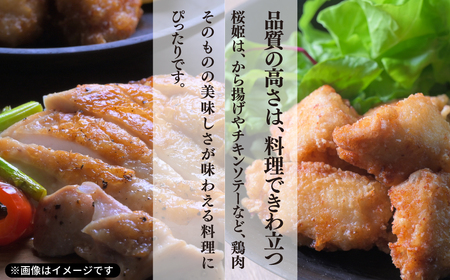 【1257】＜定期便＞隔月2回 もも肉 4kg 「桜姫」国産ブランド鶏