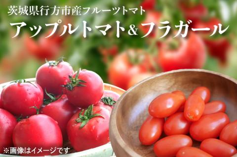【2026年6月より順次発送】東山農園のアップルトマトとフラガール　合計約1kg｜トマト とまと 野菜 やさい 数量限定 先行予約 アップルトマト 新感覚 濃厚 フルーツ フルーツトマト 茨城県 行方市 ふるさと納税(FP-2)