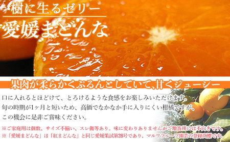 【先行予約】＜愛媛県西予市産 愛媛まどんな ご家庭用 約7kg＞ 約25～45個入り 訳あり 柑橘 果物 フルーツ オレンジ 愛媛果試第28号 期間限定 マドンナ 甘い 食べて応援 宇都宮物産 愛媛県