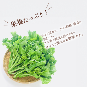 平岡農園の海陽町産菜の花 約２㎏セット（約200g×10袋） 菜の花 約2kg なのはな 