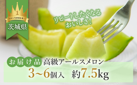 12-3茨城県産アールスメロン約7.5kg（3～6個）【2024年9月上旬～10月下旬ごろ発送予定】