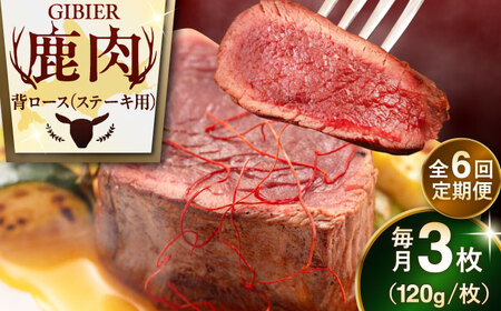 【全6回定期便】鹿肉 背ロース 3枚  ジビエ 赤身 冷凍配送 北海道 [AJAO029]