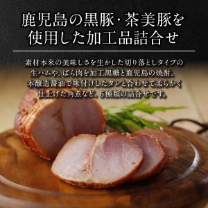 022-42 鹿児島黒豚･茶美豚6種詰合せ