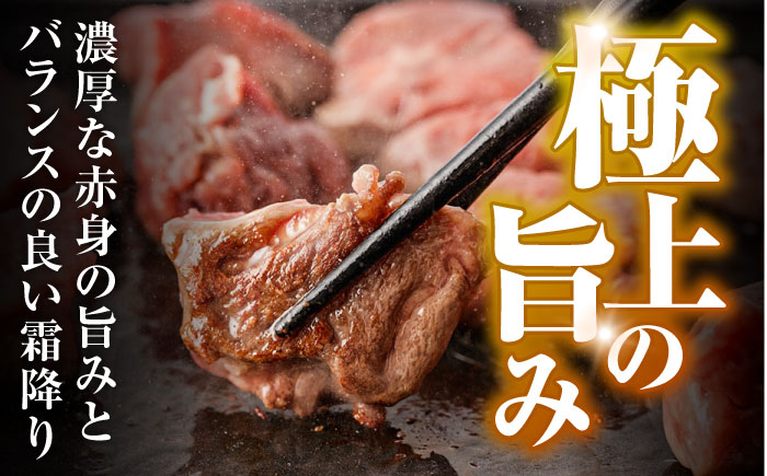 【訳あり】長崎和牛 A5 ヒレサイコロステーキ 400g / ヒレ ひれ ヒレステーキ ステーキ すてーき サイコロステーキ / 諫早市 / 野中精肉店 [AHCW105]