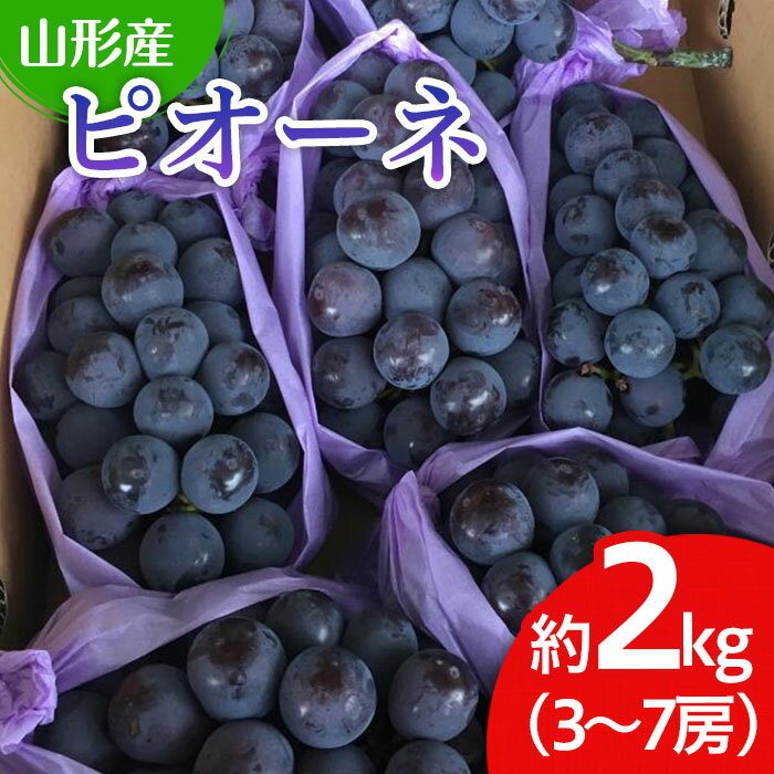 【ふるさと納税】山形市産 ぶどう(ピオーネ) 秀 2kg(3?7房) 【令和8年産先行予約】FU22-052 くだもの 果物 フルーツ 山形 山形県 山形市 お取り寄せ 2026年産
