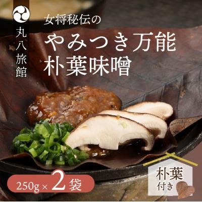 ふるさと納税 下呂市 やみつき万能【朴葉味噌】(250g)×2袋　料理自慢の宿 女将秘伝の味噌　丸八旅館【53-15】