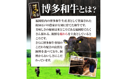 博多和牛 ヒレ肉丸ごと1本 約3.5kg 久田精肉店株式会社《30日以内に出荷予定(土日祝除く)》---sc_chsdhire_30d_23_250000_3500g---