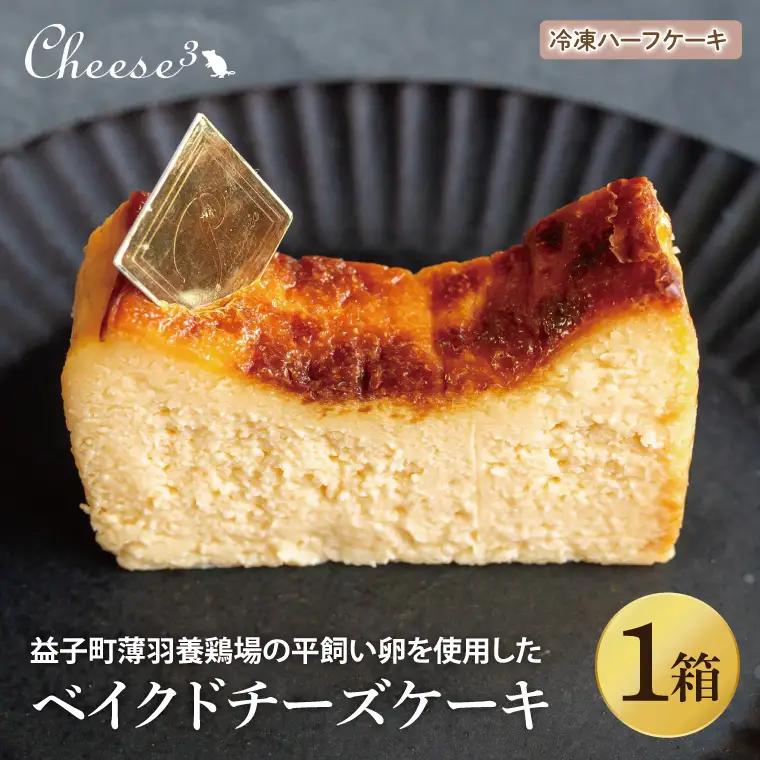 ベイクドチーズケーキ 冷凍 ハーフケーキ CP004