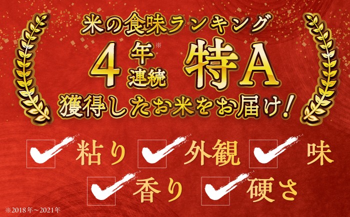 お米 米 ご飯 白米 白ご飯 ごはん コメ お弁当 精米 精白米 夢しずく
