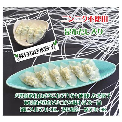 ふるさと納税 八雲町 【先行予約】八雲産軟白ねぎ水餃子(12個入×4箱) |  | 01